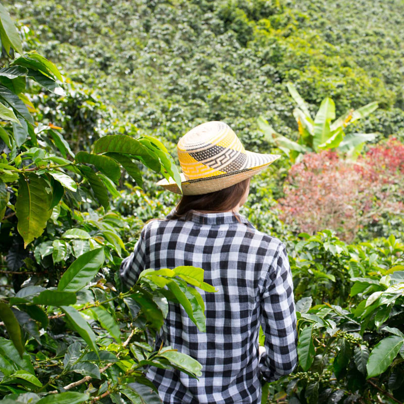 eje-cafetero-armenia-manizales-xayama-tour4
